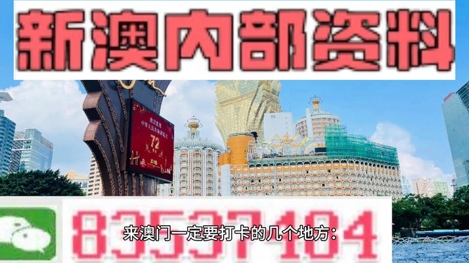 新澳门今晚最新的消息2024年;精选解释解析落实