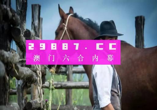 每日必看 第13页